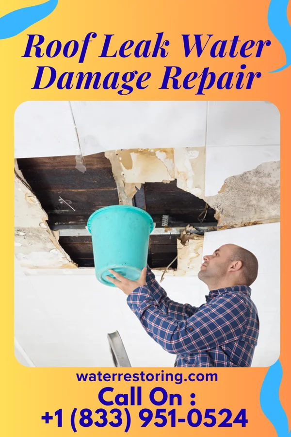 Roof Leak Water Damage Repair in Paradise Valley, AZ